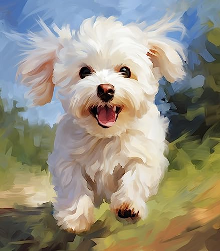 XHHZ Tier Hund Malen nach Zahlen Paket Ölgemälde 16'' x 20'' Bretter nach Zahlen Heimdekoration für Kinder Handarbeit Kunst-Malteser Hund XHHZ Tier Hund Malen nach Zahlen Paket Ölgemälde 16'' x 20'' Bretter nach Zahlen Heimdekoration für Kinder Handarbeit Kunst-Malteser Hund von XHHZ