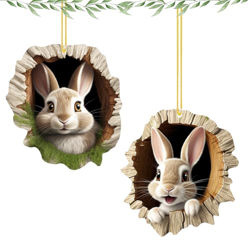 Osteranhänger Hase, 2 Stück Osterschmuck zum Aufhängen, Osterdeko Zum Aufhängen, Acryl Anhänger Ostern, Osterhase Deko, Osterhase Anhänger für Ostern Deko und Geschenk von XIABYAYU