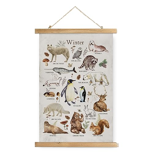 XIAOAIKA Winter-Wildtier-Pädagogisches Poster – illustrierte arktische Tiere Diagramm mit Holzrahmen – saisonale Natur-Wandkunst für Klassenzimmer, Zuhause oder Naturzentrum, 30 x 40 cm XIAOAIKA Winter-Wildtier-Pädagogisches Poster – illustrierte arktische Tiere Diagramm mit Holzrahmen – saisonale Natur-Wandkunst für Klassenzimmer, Zuhause oder Naturzentrum, 30 x 40 cm von XIAOAIKA