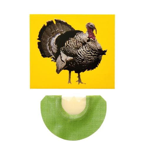 XIAOXIAOYU Kreatives Vogelgeräusch, neuartiges Vogelgeräusch, kreatives einzigartiges Spielzeug für Familie, Freunde, Kollegen von XIAOXIAOYU