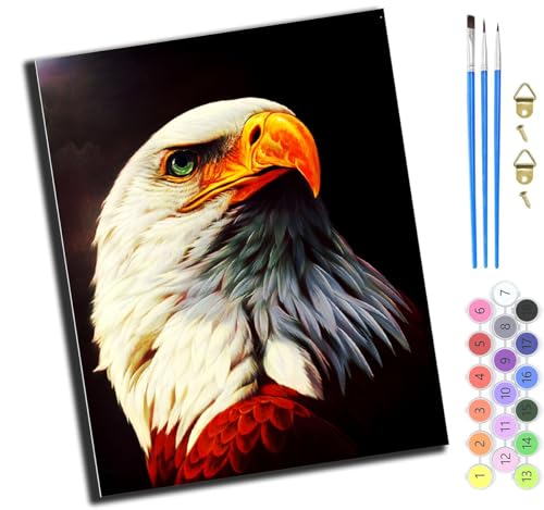 Tier Weißkopfseeadler Coole Tiere Vogel,Malen Nach Zahlen Erwachsene,Diy Bastelset Handgemalt Ölgemälde Geschen Kit Mit 3,Pinseln Und Acrylfarbe Knitterfreie Leinwand Kit,40X50 Cm,Mit Rahmen Tier Weißkopfseeadler Coole Tiere Vogel,Malen Nach Zahlen Erwachsene,Diy Bastelset Handgemalt Ölgemälde Geschen Kit Mit 3,Pinseln Und Acrylfarbe Knitterfreie Leinwand Kit,40X50 Cm,Mit Rahmen von XIAOYOUQIAN