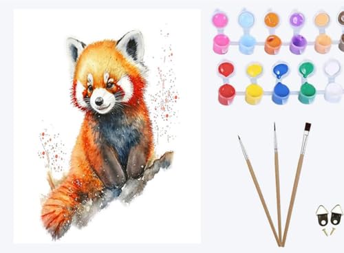XIAOYOUQIAN Aquarell Tier süßer Waschbär，Malen Nach Zahlen Erwachsene, DIY mit Pinseln und Acrylfarben Handgemalt Ölgemälde Leinwand für Home Decor, (40x50cm) ，mit Rahmen von XIAOYOUQIAN