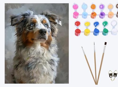 XIAOYOUQIAN Australian Shepherd Tier Hund Portrait,Malen Nach Zahlen Erwachsene ,inklusive Pinsel und Acrylfarben , 40x50cm ,DIY Handgemalt Ölgemälde Kit ,mit Rahmen XIAOYOUQIAN Australian Shepherd Tier Hund Portrait,Malen Nach Zahlen Erwachsene ,inklusive Pinsel und Acrylfarben , 40x50cm ,DIY Handgemalt Ölgemälde Kit ,mit Rahmen von XIAOYOUQIAN