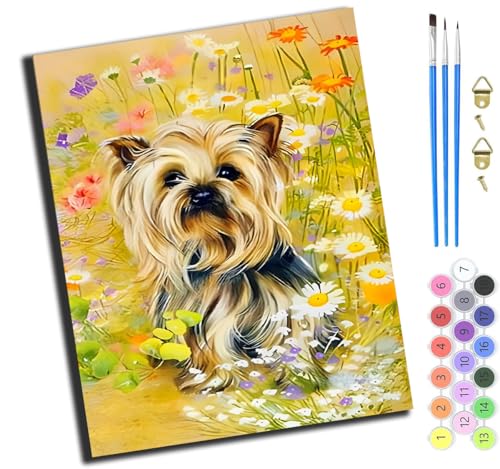 XIAOYOUQIAN Blumenyorkshire Terrierhaustierhundtier,Malen Nach Zahlen Erwachsene,Diy Ölgemälde Leinwand Set Mit 3 Pinsel Und Acrylpigment Für Geburtstag Deko Geschenk,40X50 Cm,Ohne Rahmen XIAOYOUQIAN Blumenyorkshire Terrierhaustierhundtier,Malen Nach Zahlen Erwachsene,Diy Ölgemälde Leinwand Set Mit 3 Pinsel Und Acrylpigment Für Geburtstag Deko Geschenk,40X50 Cm,Ohne Rahmen von XIAOYOUQIAN