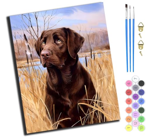 XIAOYOUQIAN Brauner Labrador,Art Malen Nach Zahlen Erwachsene,Diy Handgemalt Ölgemälde Leinwand Set Für Home Haus Deko,(40X50Cm),Ohne Rahmen von XIAOYOUQIAN