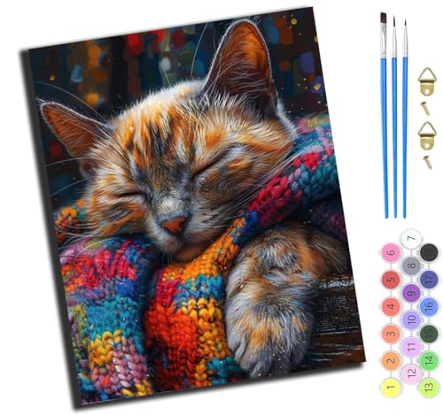 XIAOYOUQIAN Bunte Schlafende Katze Aus Wolle,Malen Nach Zahlen Erwachsene,Diy Ölgemälde Leinwand Set Mit 3 Pinsel Und Acrylpigment Für Geburtstag Deko Geschenk,40X50 Cm,Mit Rahmen XIAOYOUQIAN Bunte Schlafende Katze Aus Wolle,Malen Nach Zahlen Erwachsene,Diy Ölgemälde Leinwand Set Mit 3 Pinsel Und Acrylpigment Für Geburtstag Deko Geschenk,40X50 Cm,Mit Rahmen von XIAOYOUQIAN
