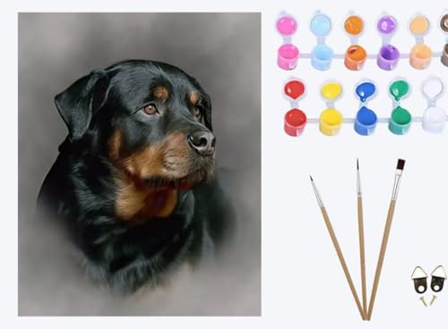XIAOYOUQIAN Dog Portrait Rottweiler，Malen nach Zahlen Erwachsene ， 40x50cm, Be creative Heimdekoration Landschaft Anfänger Mit Pinsel und Acrylfarben ölgemälde für Home Decor ，ohne Rahmen von XIAOYOUQIAN