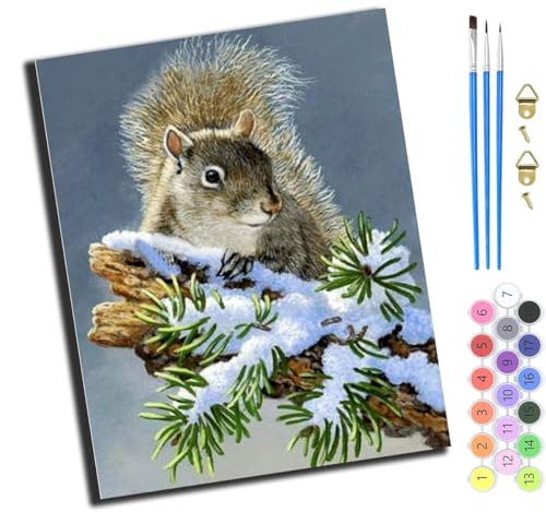 XIAOYOUQIAN Eichhörnchen Auf Zeder,Malen Nach Zahlen Erwachsene 40X50Cm,Mit Pinsels Und Acrylfarbe Kit,Diy Handgemalt Ölgemälde Für Geschenke Und Wandbilder Wohnzimmer,Ohne Rahmen XIAOYOUQIAN Eichhörnchen Auf Zeder,Malen Nach Zahlen Erwachsene 40X50Cm,Mit Pinsels Und Acrylfarbe Kit,Diy Handgemalt Ölgemälde Für Geschenke Und Wandbilder Wohnzimmer,Ohne Rahmen von XIAOYOUQIAN