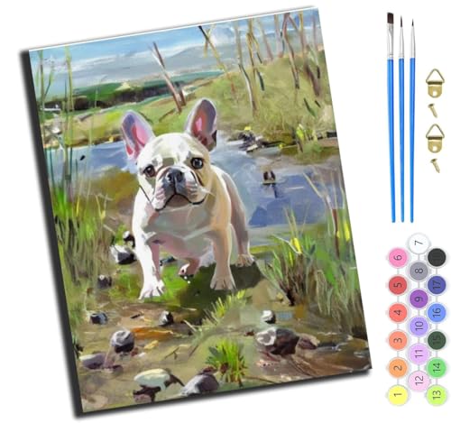 XIAOYOUQIAN Französische Bulldogge,Malen Nach Zahlen Erwachsene,Diy Handgemalt Ölgemälde Kit,Paint By Numbers Adult Mit 3,Pinseln Und Acrylfarbe Leinwand Kit,40X50 Cm,Ohne Rahmen von XIAOYOUQIAN