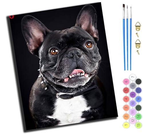 XIAOYOUQIAN Französische Bulldogge Blumen,Malen Nach Zahlen Erwachsene,Diy Handgemalt Ölgemälde,Mit Pinseln Malerei Kits Erwachsene Kunsthandwerk Für Zuhause 40X50 Cm,Ohne Rahmen XIAOYOUQIAN Französische Bulldogge Blumen,Malen Nach Zahlen Erwachsene,Diy Handgemalt Ölgemälde,Mit Pinseln Malerei Kits Erwachsene Kunsthandwerk Für Zuhause 40X50 Cm,Ohne Rahmen von XIAOYOUQIAN