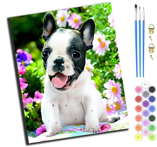 XIAOYOUQIAN Französischer Bulldoggenwelpe,Malen Nach Zahlen Erwachsene,Happy Painting Kits,Bastelset Leinwand Pinsel,Handgemalt Ölgemälde Kinder 40X50Cm,Ohne Rahmen von XIAOYOUQIAN