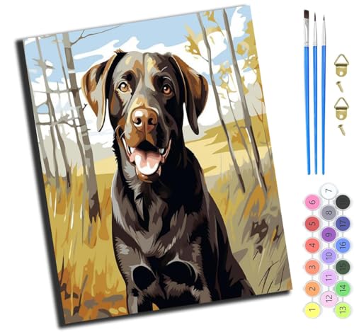 XIAOYOUQIAN Labrador Retriever Im Wald,Malen Nach Zahlen Erwachsene,Diy Handgemalt Ölgemälde Kit,40X50 Cm,Paint By Numbers Adult Mit 3,Pinseln Und Acrylfarbe Leinwand Kit,Ohne Rahmen von XIAOYOUQIAN
