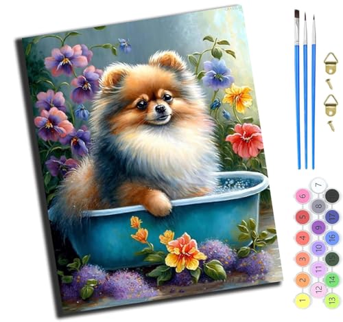 XIAOYOUQIAN Lustiger Badewannen-Pomeranian,Malen Nach Zahlen Erwachsene,Paint By Numbers,Diy Handgemalt Ölgemälde Mit 3,Pinseln Und Acrylfarbe Leinwand Kit,40X50 Cm,Ohne Rahmen von XIAOYOUQIAN