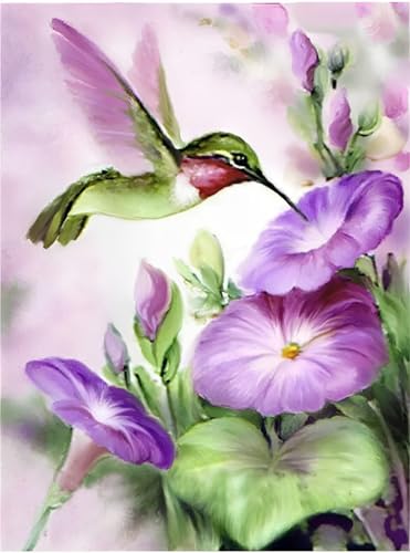 XIAOYOUQIAN Malen Nach Zahlen Erwachsene, Paint By Numbers, Diy Handgemalt Ölgemälde Mit 3 ， Pinseln Und Acrylfarbe Knitterfreie Leinwand Kit ，40X50 Cm，Tier Vogel，Mit Rahmen von XIAOYOUQIAN