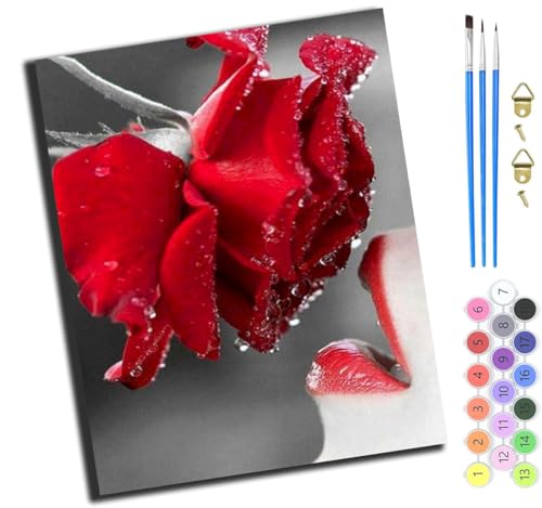 XIAOYOUQIAN Schönheit Rose Rote Lippen,Malen Nach Zahlen Erwachsene,Diy Handgemalt Ölgemälde Kit,Paint By Numbers Adult Mit 3,Pinseln Und Acrylfarbe Leinwand Kit,40X50 Cm,Ohne Rahmen von XIAOYOUQIAN