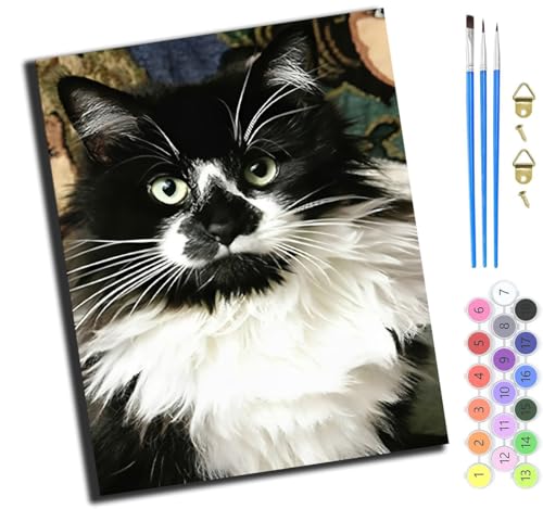 XIAOYOUQIAN Schwarze Tierkatze,Malen Nach Zahlen Erwachsene,Diy Ölgemälde Leinwand Set Mit 3 Pinsel Und Acrylpigment Für Geburtstag Deko Geschenk,40X50 Cm,Ohne Rahmen XIAOYOUQIAN Schwarze Tierkatze,Malen Nach Zahlen Erwachsene,Diy Ölgemälde Leinwand Set Mit 3 Pinsel Und Acrylpigment Für Geburtstag Deko Geschenk,40X50 Cm,Ohne Rahmen von XIAOYOUQIAN