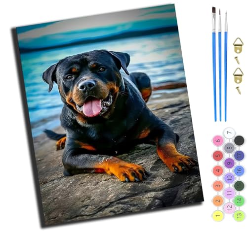 XIAOYOUQIAN Schwarzer Rottweiler Am Strand,Malen Nach Zahlen Erwachsene,Happy Painting Kits,Bastelset Leinwand Pinsel,Handgemalt Ölgemälde Kinder 40X50Cm,Ohne Rahmen von XIAOYOUQIAN