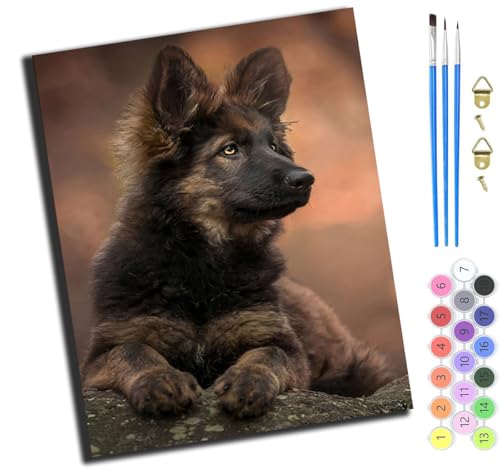 XIAOYOUQIAN Schwarzes Tier Hund Haustier,Malen Nach Zahlen Erwachsene,Diy Handgemalt Ölgemälde,Mit Pinseln Malerei Kits Erwachsene Kunsthandwerk Für Zuhause 40X50 Cm,Ohne Rahmen XIAOYOUQIAN Schwarzes Tier Hund Haustier,Malen Nach Zahlen Erwachsene,Diy Handgemalt Ölgemälde,Mit Pinseln Malerei Kits Erwachsene Kunsthandwerk Für Zuhause 40X50 Cm,Ohne Rahmen von XIAOYOUQIAN