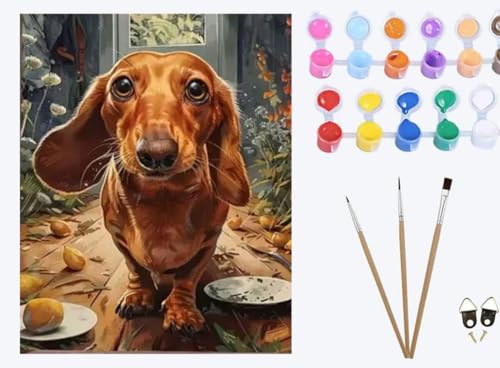 XIAOYOUQIAN Süßer Hund Dackel,Malen Nach Zahlen Erwachsene, DIY Ölgemälde Leinwand Kit mit Pinseln und Acrylfarbe für Home Haus Deko, 50x40cm ,mit Rahmen XIAOYOUQIAN Süßer Hund Dackel,Malen Nach Zahlen Erwachsene, DIY Ölgemälde Leinwand Kit mit Pinseln und Acrylfarbe für Home Haus Deko, 50x40cm ,mit Rahmen von XIAOYOUQIAN