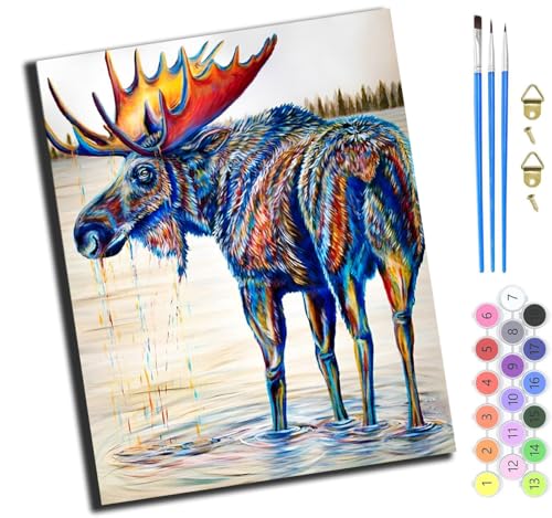XIAOYOUQIAN Tier Aquarell Hirsch,Malen Nach Zahlen Erwachsene,Diy Ölgemälde Leinwand Set Mit 3 Pinsel Und Acrylpigment Für Geburtstag Deko Geschenk,40X50 Cm,Mit Rahmen von XIAOYOUQIAN