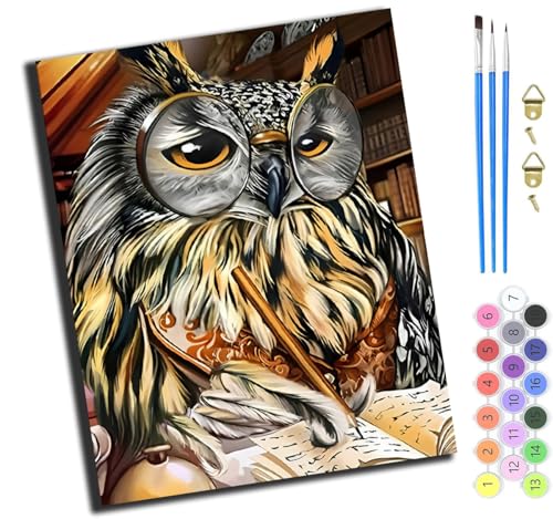 XIAOYOUQIAN Tier-Eulen-Tutor,Art Malen Nach Zahlen Erwachsene,Diy Handgemalt Ölgemälde Leinwand Set Für Home Haus Deko,(40X50Cm),Mit Rahmen von XIAOYOUQIAN