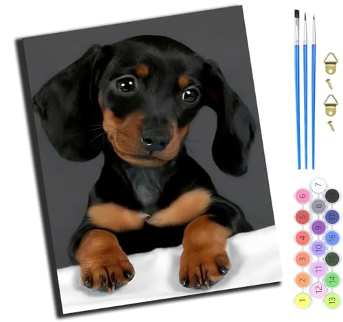 XIAOYOUQIAN Tier Haustier Hund,Malen Nach Zahlen,Diy Handgemalt Ölgemälde,3 Pinseln Und Vorgedruckt Leinwand，Ölgemälde,Festival Geschenk Home Deko，40X50Cm,Mit Rahmen von XIAOYOUQIAN