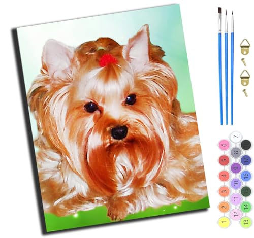 XIAOYOUQIAN Tier Haustier Hund Schmetterling Frühling,Malen Nach Zahlen Erwachsene,Paint By Numbers,Diy Handgemalt Ölgemälde Mit 3,Pinseln Und Acrylfarbe Leinwand Kit,40X50 Cm,Mit Rahmen von XIAOYOUQIAN