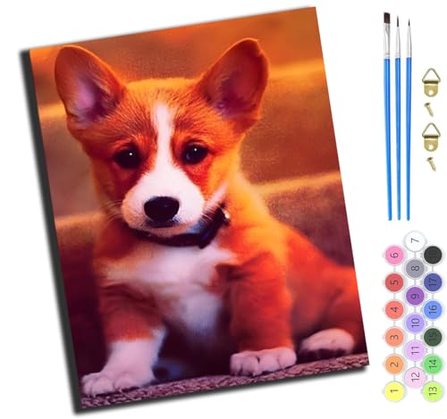 XIAOYOUQIAN Tier Haustier Hund Süß,Diy Ölgemälde Malen Nach Zahlen Erwachsene Kinder,40X50Cm Handgemalte Geschenke Zahlenmalerei Ab 5 Öl Wandkunst Haus Dekoration Malen，Mit Rahmen von XIAOYOUQIAN