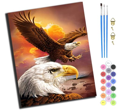 XIAOYOUQIAN Tier Himmel Herr Adler,Malen Nach Zahlen Erwachsene,Diy Mit Pinseln Und Acrylfarben Handgemalt Ölgemälde Leinwand Für Home Decor,(40X50Cm),Mit Rahmen von XIAOYOUQIAN