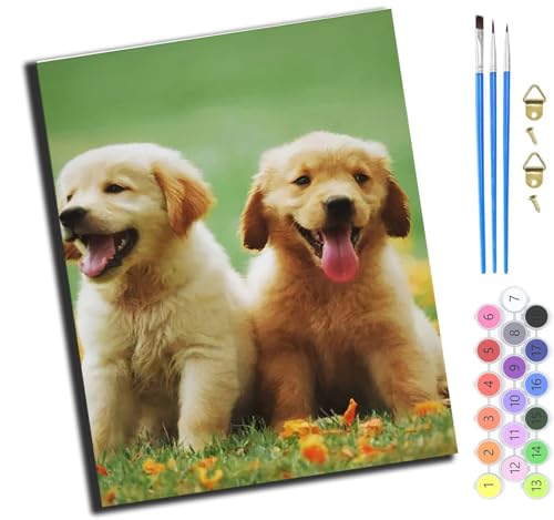 XIAOYOUQIAN Tier Hund,Malen Nach Zahlen Erwachsene,Diy Handgemalt Ölgemälde Kit,Anfänger Kreativ Bastelset Für Erwachsene Und Mädchen Geschenk,16X20 Inch,Mit Rahmen XIAOYOUQIAN Tier Hund,Malen Nach Zahlen Erwachsene,Diy Handgemalt Ölgemälde Kit,Anfänger Kreativ Bastelset Für Erwachsene Und Mädchen Geschenk,16X20 Inch,Mit Rahmen von XIAOYOUQIAN