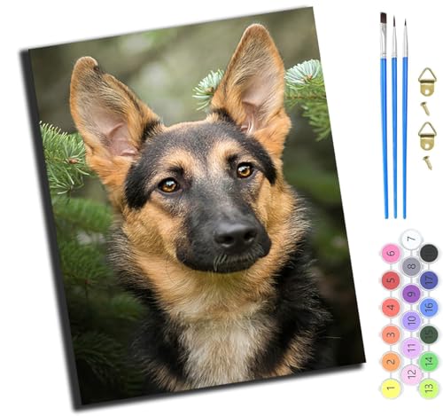XIAOYOUQIAN Tier Hund,Malen Nach Zahlen Erwachsene,Paint By Numbers,Diy Handgemalt Ölgemälde Mit 3,Pinseln Und Acrylfarbe Leinwand Kit,40X50 Cm,Mit Rahmen von XIAOYOUQIAN