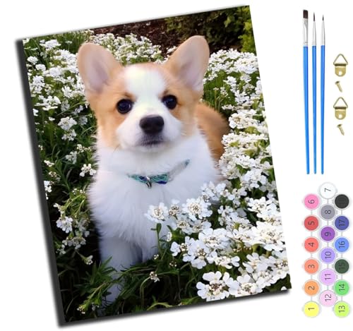 XIAOYOUQIAN Tier Hund Blumen,Malen Nach Zahlen Erwachsene 40X50Cm,Mit Pinsels Und Acrylfarbe Kit,Diy Handgemalt Ölgemälde Für Geschenke Und Wandbilder Wohnzimmer,Mit Rahmen von XIAOYOUQIAN
