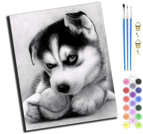 XIAOYOUQIAN Tier Hund Haustier,Malen Nach Zahlen Erwachsene,Diy Handgemalt Ölgemälde Kit,Groß Diy Ölgemälde Kit Für Anfänger,Knitterfreie Leinwand,40X50Cm，Mit Rahmen von XIAOYOUQIAN