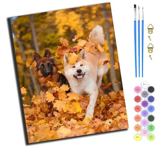 XIAOYOUQIAN Tier Hund Haustier,Malen Nach Zahlen Erwachsene,Paint By Numbers,Diy Handgemalt Ölgemälde Mit 3,Pinseln Und Acrylfarbe Knitterfreie Leinwand Kit,40X50 Cm,Mit Rahmen von XIAOYOUQIAN