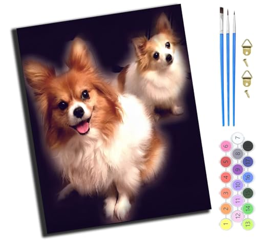 XIAOYOUQIAN Tier Hund Haustier Hund,Malen Nach Zahlen Erwachsene,Inklusive Pinsel Und Acrylfarben,40X50Cm,Diy Handgemalt Ölgemälde Kit,Mit Rahmen von XIAOYOUQIAN