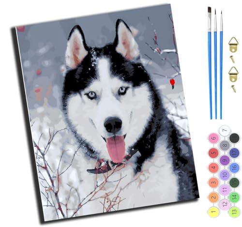 XIAOYOUQIAN Tier Hund Haustier Lustig,Malen Nach Zahlen Erwachsene,Diy Ölgemälde Leinwand Set Mit 3 Pinsel Und Acrylpigment Für Geburtstag Deko Geschenk,40X50 Cm,Mit Rahmen XIAOYOUQIAN Tier Hund Haustier Lustig,Malen Nach Zahlen Erwachsene,Diy Ölgemälde Leinwand Set Mit 3 Pinsel Und Acrylpigment Für Geburtstag Deko Geschenk,40X50 Cm,Mit Rahmen von XIAOYOUQIAN