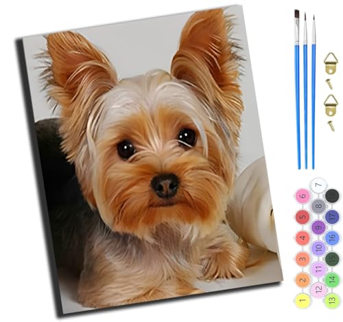 XIAOYOUQIAN Tier Hund Niedlich Haustier,Malen Nach Zahlen Erwachsene,Diy Handgemalt Ölgemälde Kit,Paint By Numbers Adult Mit 3,Pinseln Und Acrylfarbe Leinwand Kit,40X50 Cm,Mit Rahmen XIAOYOUQIAN Tier Hund Niedlich Haustier,Malen Nach Zahlen Erwachsene,Diy Handgemalt Ölgemälde Kit,Paint By Numbers Adult Mit 3,Pinseln Und Acrylfarbe Leinwand Kit,40X50 Cm,Mit Rahmen von XIAOYOUQIAN