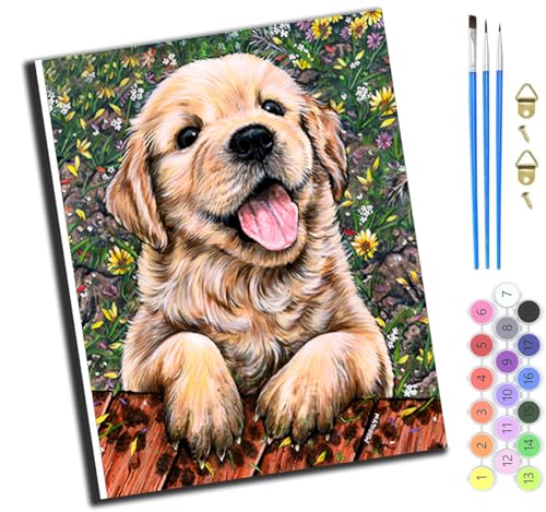XIAOYOUQIAN Tier Hund Sonnenblume,Malen Nach Zahlen Erwachsene,Paint By Numbers,Diy Handgemalt Ölgemälde Mit 3,Pinseln Und Acrylfarbe Knitterfreie Leinwand Kit,40X50 Cm,Mit Rahmen XIAOYOUQIAN Tier Hund Sonnenblume,Malen Nach Zahlen Erwachsene,Paint By Numbers,Diy Handgemalt Ölgemälde Mit 3,Pinseln Und Acrylfarbe Knitterfreie Leinwand Kit,40X50 Cm,Mit Rahmen von XIAOYOUQIAN