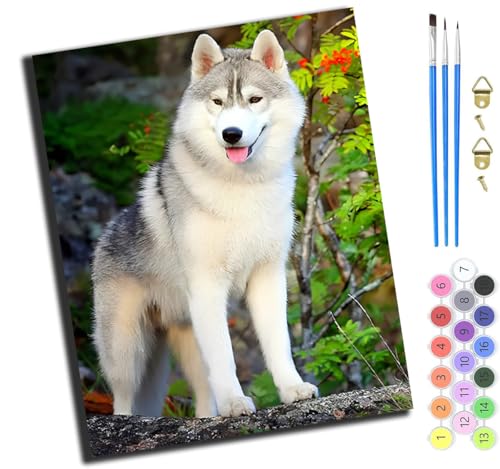 XIAOYOUQIAN Tier Hund Süß,Malen Nach Zahlen,Diy Handgemalt Ölgemälde,3 Pinseln Und Vorgedruckt Leinwand，Ölgemälde,Festival Geschenk Home Deko，40X50Cm,Mit Rahmen von XIAOYOUQIAN