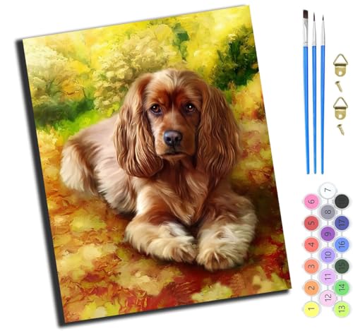 XIAOYOUQIAN Tier Hund Süß,Malen Nach Zahlen Erwachsene,Diy Mit Pinseln Und Acrylfarben Handgemalt Ölgemälde Leinwand Für Home Decor,(40X50Cm),Mit Rahmen von XIAOYOUQIAN
