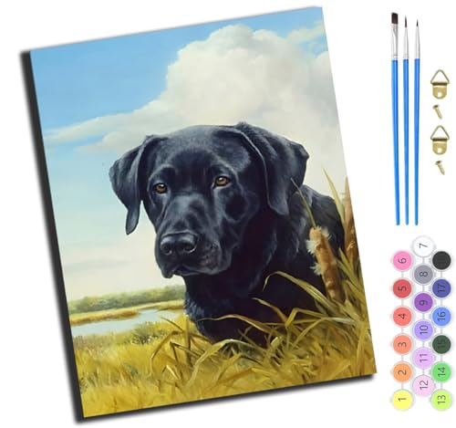 XIAOYOUQIAN Tier Hund Süß Lonely,Malen Nach Zahlen Erwachsene,Paint By Numbers,Diy Handgemalt Ölgemälde Mit 3,Pinseln Und Acrylfarbe Leinwand Kit,40X50 Cm,Mit Rahmen XIAOYOUQIAN Tier Hund Süß Lonely,Malen Nach Zahlen Erwachsene,Paint By Numbers,Diy Handgemalt Ölgemälde Mit 3,Pinseln Und Acrylfarbe Leinwand Kit,40X50 Cm,Mit Rahmen von XIAOYOUQIAN