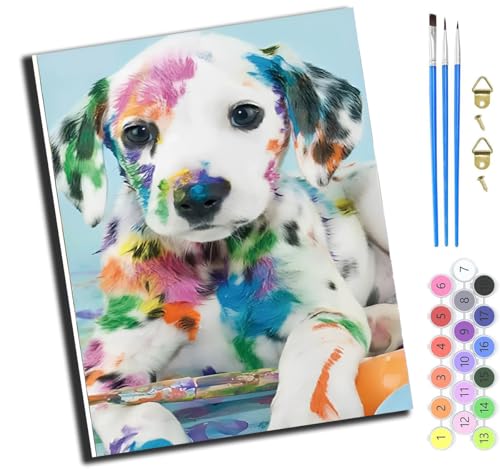 XIAOYOUQIAN Tier Hund Weiß,Malen Nach Zahlen Erwachsene,Diy Handgemalt Ölgemälde Kit,Anfänger Kreativ Bastelset Für Erwachsene Und Mädchen Geschenk,16X20 Inch,Mit Rahmen von XIAOYOUQIAN