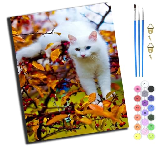 XIAOYOUQIAN Tier Katze,Malen Nach Zahlen Erwachsene,Diy Handgemalt Ölgemälde Kit,Inklusive Pinsel Und Acrylfarben,40X50 Cm,Mit Rahmen von XIAOYOUQIAN