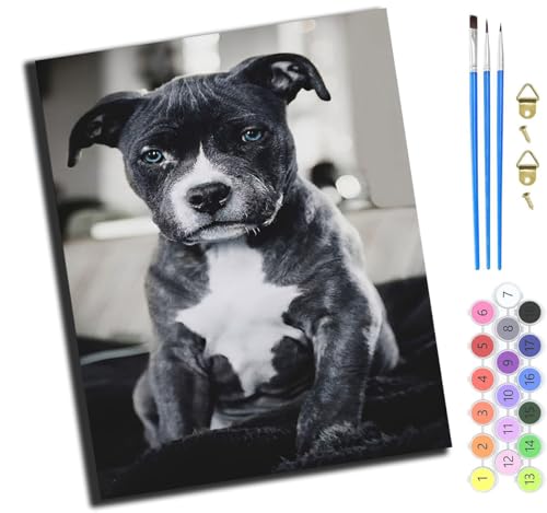XIAOYOUQIAN Tier Katze Kleiner Junge,Malen Nach Zahlen Erwachsene,Happy Painting Kits,Bastelset Leinwand Pinsel,Handgemalt Ölgemälde Kinder 40X50Cm,Mit Rahmen XIAOYOUQIAN Tier Katze Kleiner Junge,Malen Nach Zahlen Erwachsene,Happy Painting Kits,Bastelset Leinwand Pinsel,Handgemalt Ölgemälde Kinder 40X50Cm,Mit Rahmen von XIAOYOUQIAN