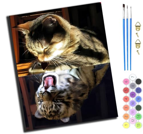 XIAOYOUQIAN Tier Katze Reflexion,Diy Ölgemälde Malen Nach Zahlen Erwachsene Kinder,40X50Cm Handgemalte Geschenke Zahlenmalerei Ab 5 Öl Wandkunst Haus Dekoration Malen，Mit Rahmen von XIAOYOUQIAN