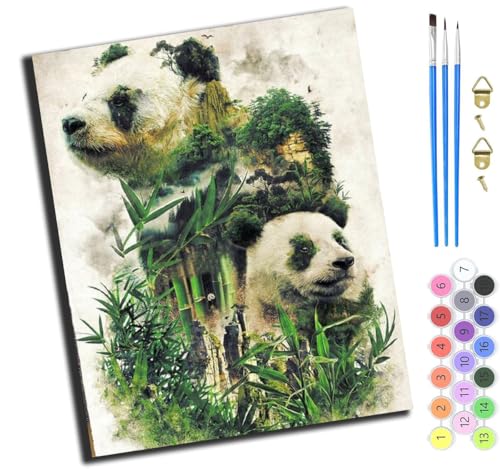XIAOYOUQIAN Tier Spiegelung Panda,Malen Nach Zahlen Erwachsene,Inklusive Pinsel Und Acrylfarben,40X50Cm,Diy Handgemalt Ölgemälde Kit,Mit Rahmen von XIAOYOUQIAN