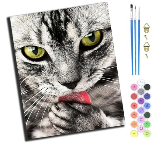 XIAOYOUQIAN Tier Zunge Rausstrecken Schwarz Weiß Katze,Malen Nach Zahlen Erwachsene,Diy Handgemalt Ölgemälde,Mit Pinseln Malerei Kits Erwachsene Kunsthandwerk Für Zuhause 40X50 Cm,Mit Rahmen XIAOYOUQIAN Tier Zunge Rausstrecken Schwarz Weiß Katze,Malen Nach Zahlen Erwachsene,Diy Handgemalt Ölgemälde,Mit Pinseln Malerei Kits Erwachsene Kunsthandwerk Für Zuhause 40X50 Cm,Mit Rahmen von XIAOYOUQIAN