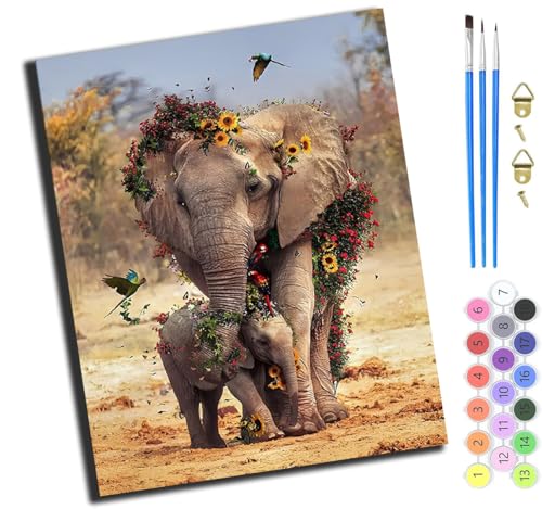 XIAOYOUQIAN Tiere Elefant Vogel,Malen Nach Zahlen Erwachsene,Diy Ölgemälde Leinwand Set Mit 3 Pinsel Und Acrylpigment Für Geburtstag Deko Geschenk,40X50 Cm,Mit Rahmen von XIAOYOUQIAN
