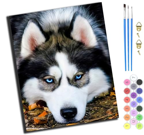 XIAOYOUQIAN Tiere Hund Blue Eyes,Malen Nach Zahlen Erwachsene,Diy Handgemalt Ölgemälde,Mit Pinseln Malerei Kits Erwachsene Kunsthandwerk Für Zuhause 40X50 Cm,Mit Rahmen von XIAOYOUQIAN