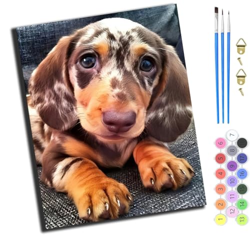 XIAOYOUQIAN Tiere Hund Einsam Lustig,Malen Nach Zahlen Erwachsene 40X50Cm,Mit Pinsels Und Acrylfarbe Kit,Diy Handgemalt Ölgemälde Für Geschenke Und Wandbilder Wohnzimmer,Mit Rahmen von XIAOYOUQIAN